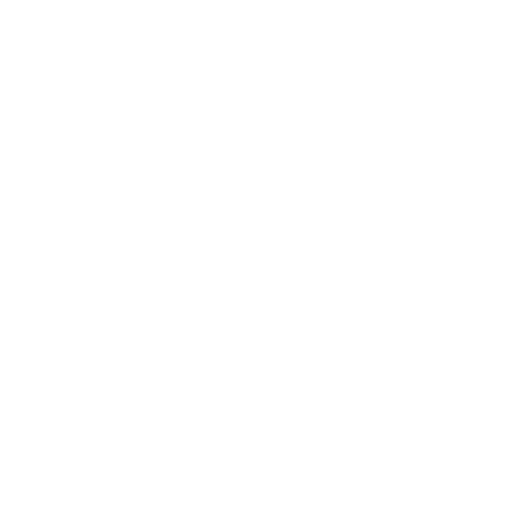 download manager icon