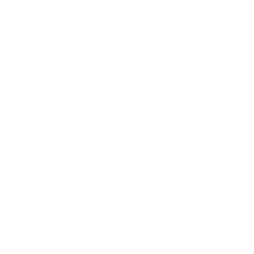 lock hide icon