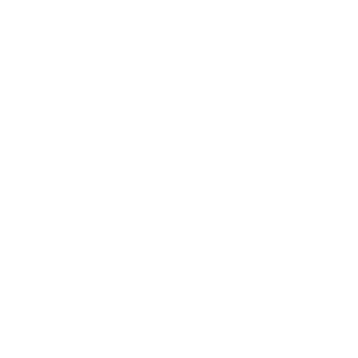 security icon